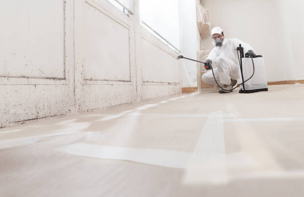 24/7 Emergency Attic Mold Removal experts in Wellington, TX