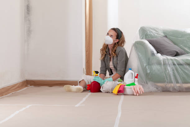 Reliable Mold Cleanup contractor in Wellington, TX by Cheap Mold Removal